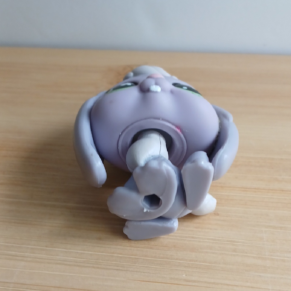 Littlest Pet Shop Rabbit Bunny # 648 - Picture 6 of 8